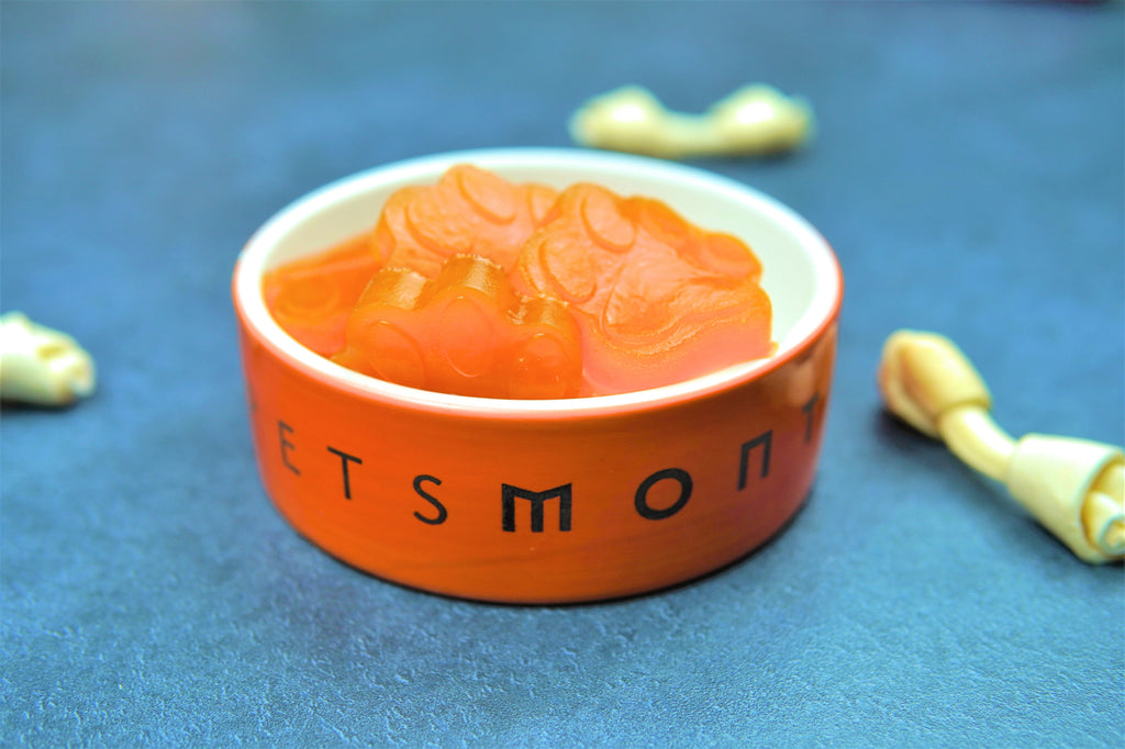DIY All Natural Carrot and Apple Gummies for Cats and Dogs Recipe