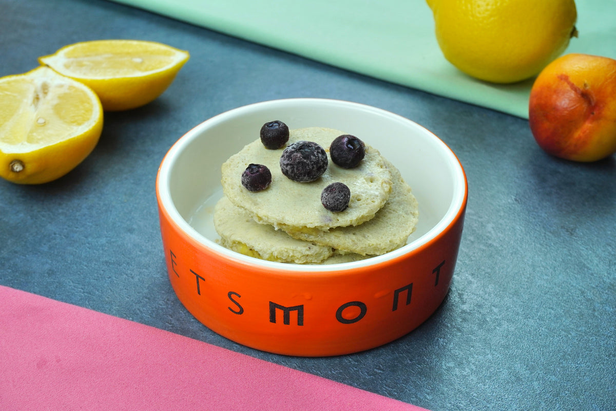 DIY Banana Cakes for Dogs Recipe Petsmont