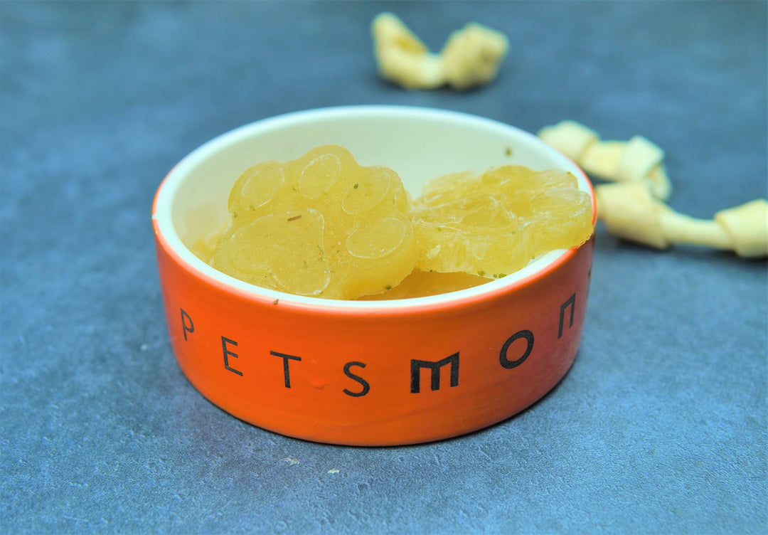 DIY Beef Bone Broth Gummies for Dogs Recipe Petsmont