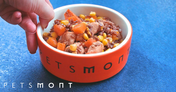 Homemade Dog Food Recipes: Vet-Approved