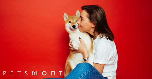 What is the Cost to Spay a Dog?