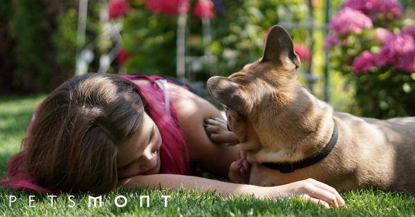 Thinking About Adopting a Dog? Read this first!
