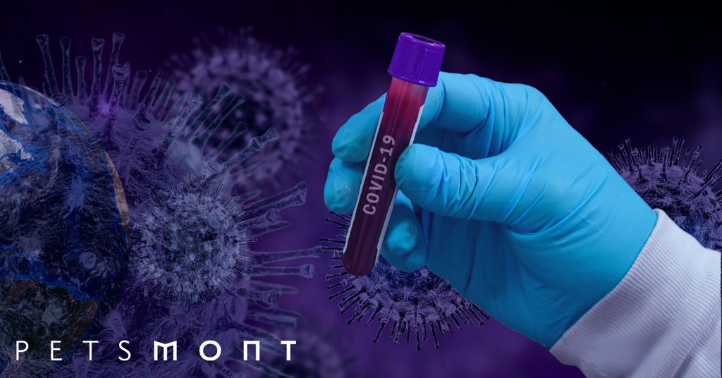 Can I Get Coronavirus From My Pet?