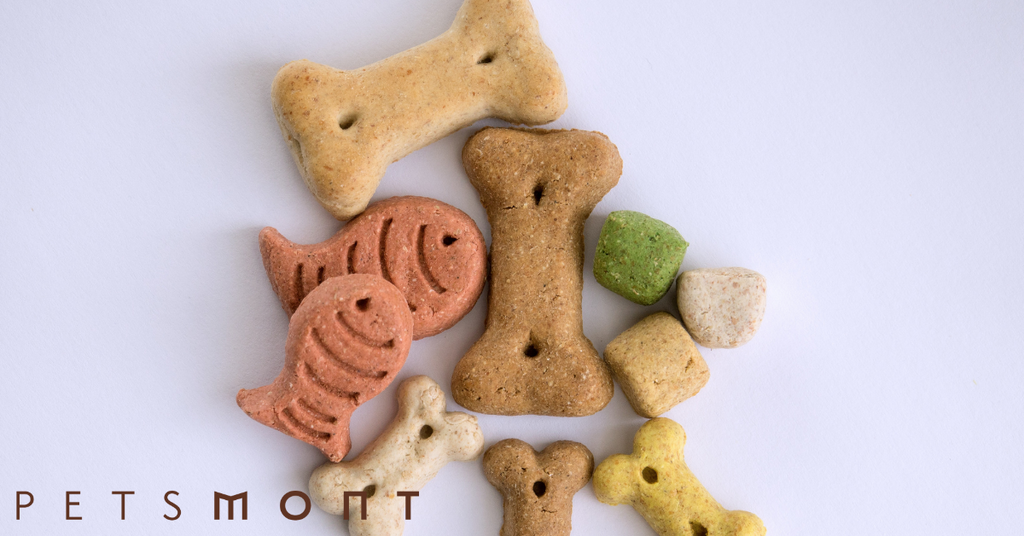 Healthy Dog Treats: Check Out These Options