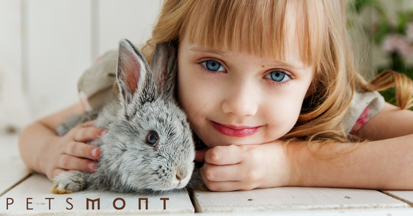 Best Pets for Children: The Most Loving First Pets