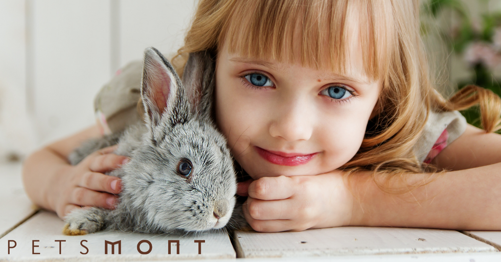 Best rabbit for deals children