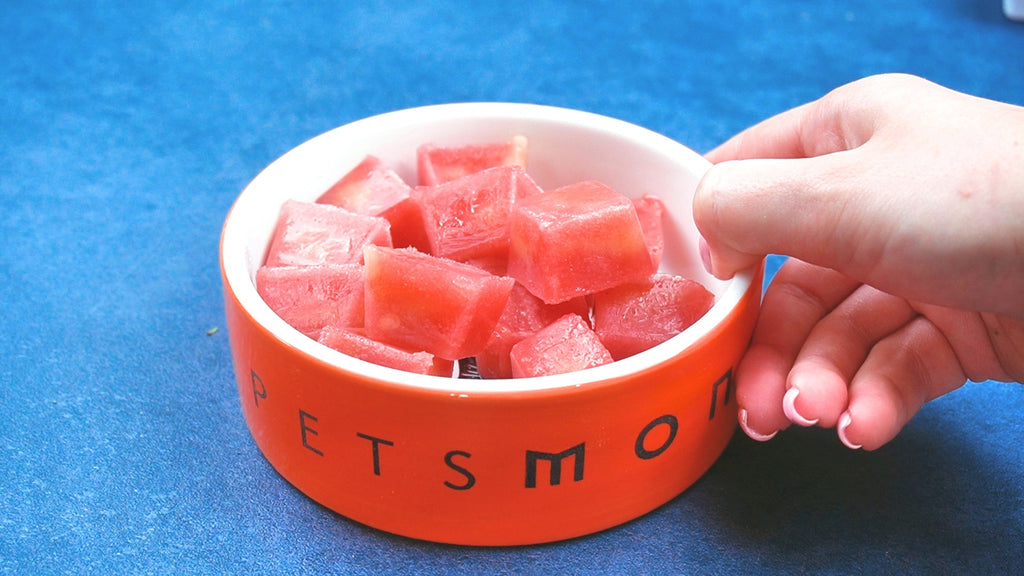 Drooling Watermelon Icy for Dogs