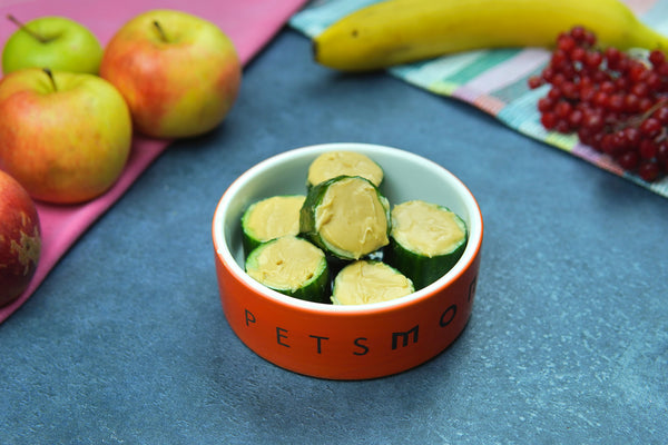 DIY EZ Nutty Cucumbers for Cats and Dogs Recipe