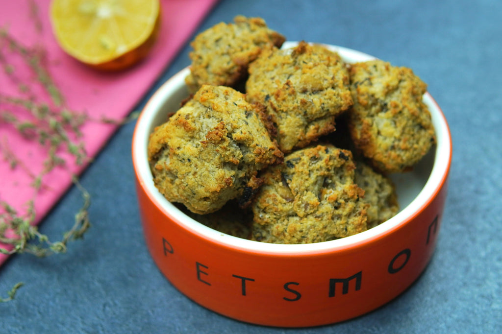 DIY Sardine Drop Biscuits for Dogs Recipe