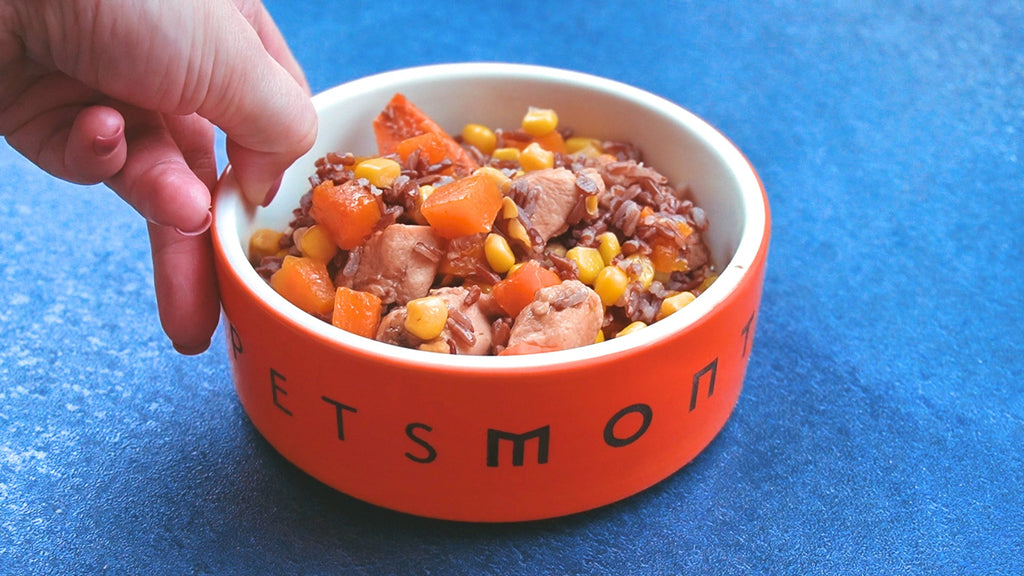 Savory K9 Stew for Dogs Recipe