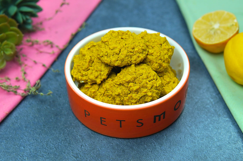 DIY Turmeric Biscuit for Dogs Recipe