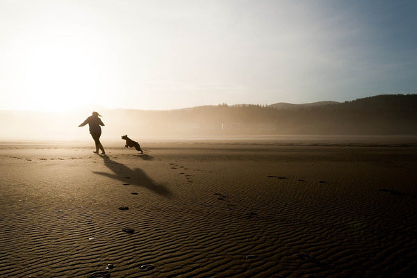 21 Fun and Simple Ways to Bond With Your Dog