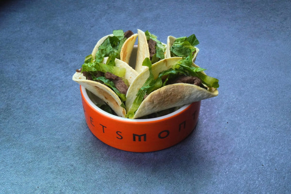 DIY K9 Mini Tacos for Dogs Recipe