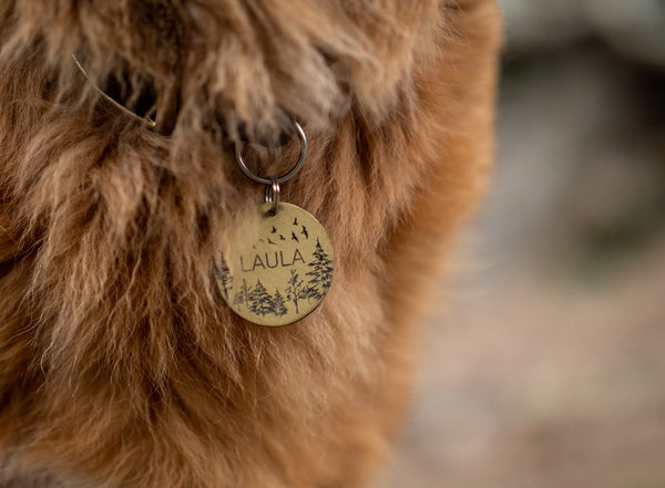 See These 20 Best Dog Names