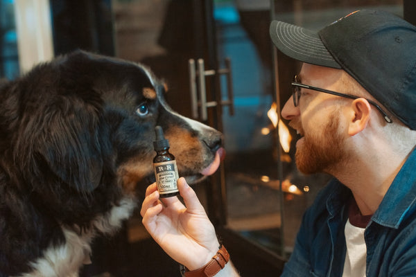 Hemp Benefits for Your Beloved Pets