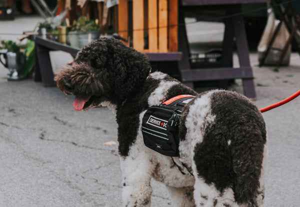 Service Animal Registration