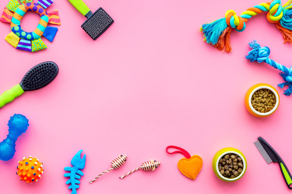 Here Are 7 Puppy Accessories You Need To Have