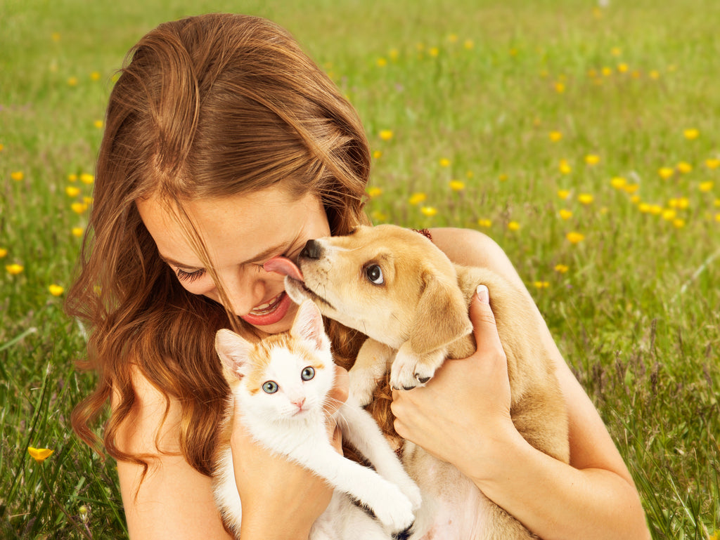 Guaranteed Tips To Improve Pet Life