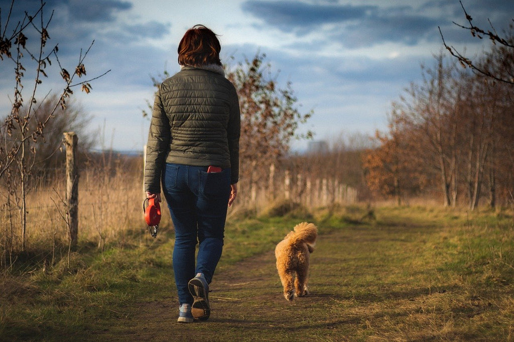 Here is how long you should walk your dog based on their breed