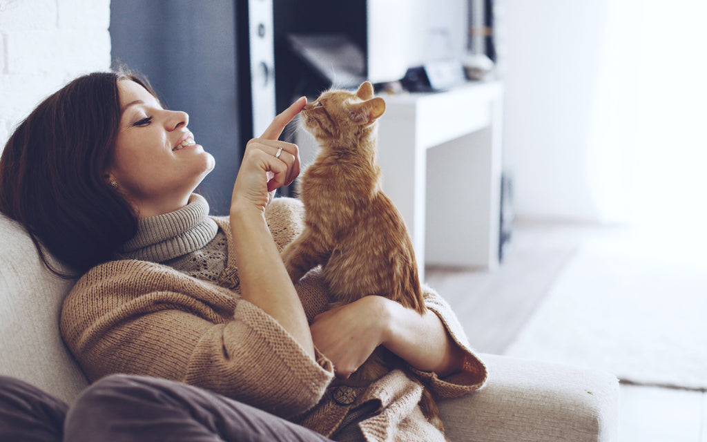 Secrets and Benefits of a Cat's Purr