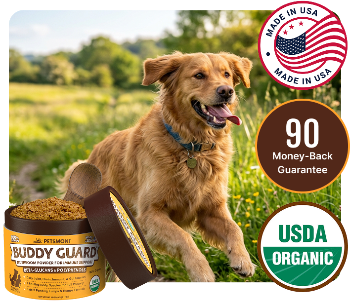 Does Your Dog Have Lumps and Bumps? Help Their Skin Feel Smooth and Healthy Again