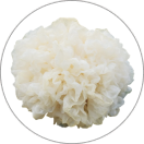 Ingrediant Image