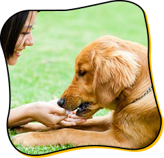 3. Stronger Immune System 