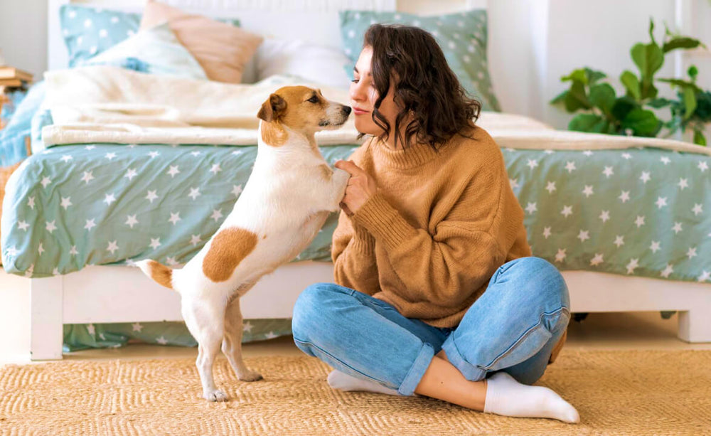 Dog being rewarded with a single-ingredient treat