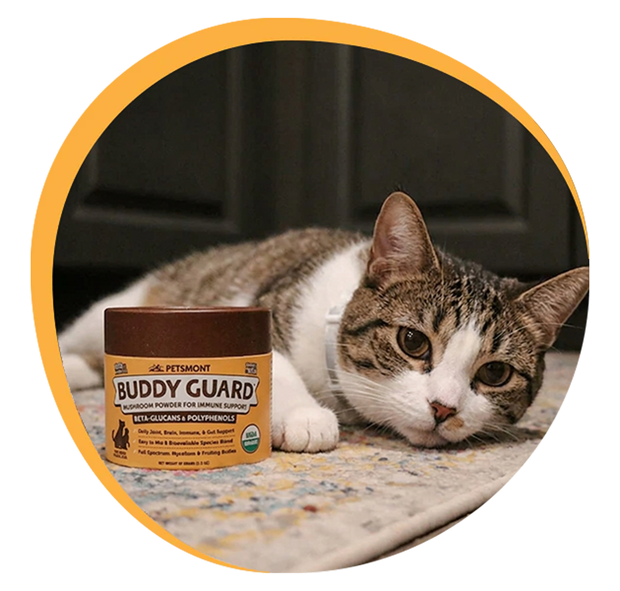 Steps Image