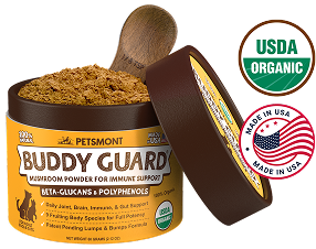 The Daily Formula Designed To Support The Dog You Remember