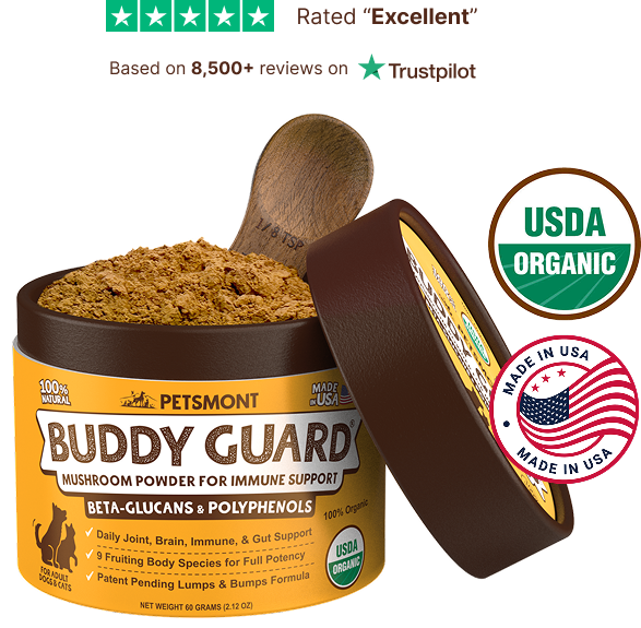 The Daily Formula Designed To Support The Dog You Remember