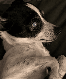 files/dcd62b02-rectangle-7_107i07i06b07i00l000028.png