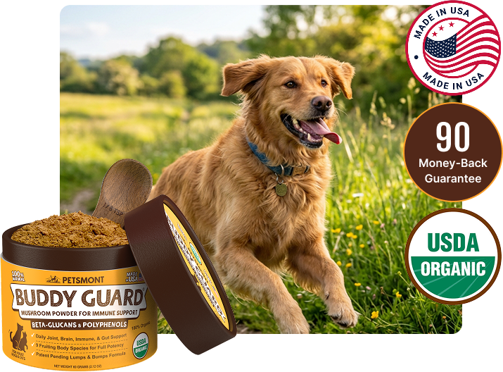 Does Your Dog Have Lumps and Bumps? Help Their Skin Feel Smooth and Healthy Again