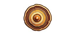 Turkey Tail