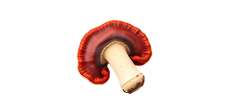 Reishi