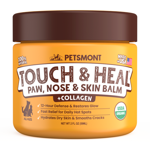 Organic Dog Paw & Nose Balm for Dry Skin | Petsmont Touch & Heal