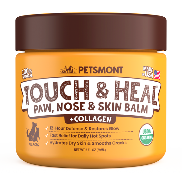 A tin of Petsmont Touch & Heal organic dog paw, nose, and skin balm for dry, cracked skin on a transparent background.