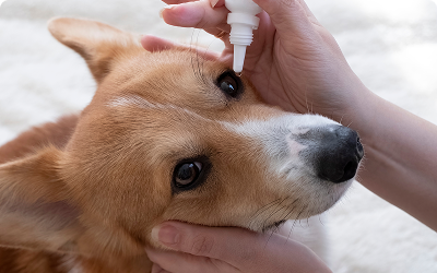 Eye drops never address the real cause