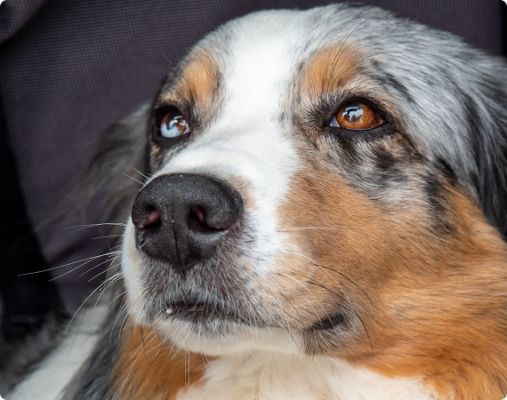 Cloudy Eyes Don't Start In The Eyes.