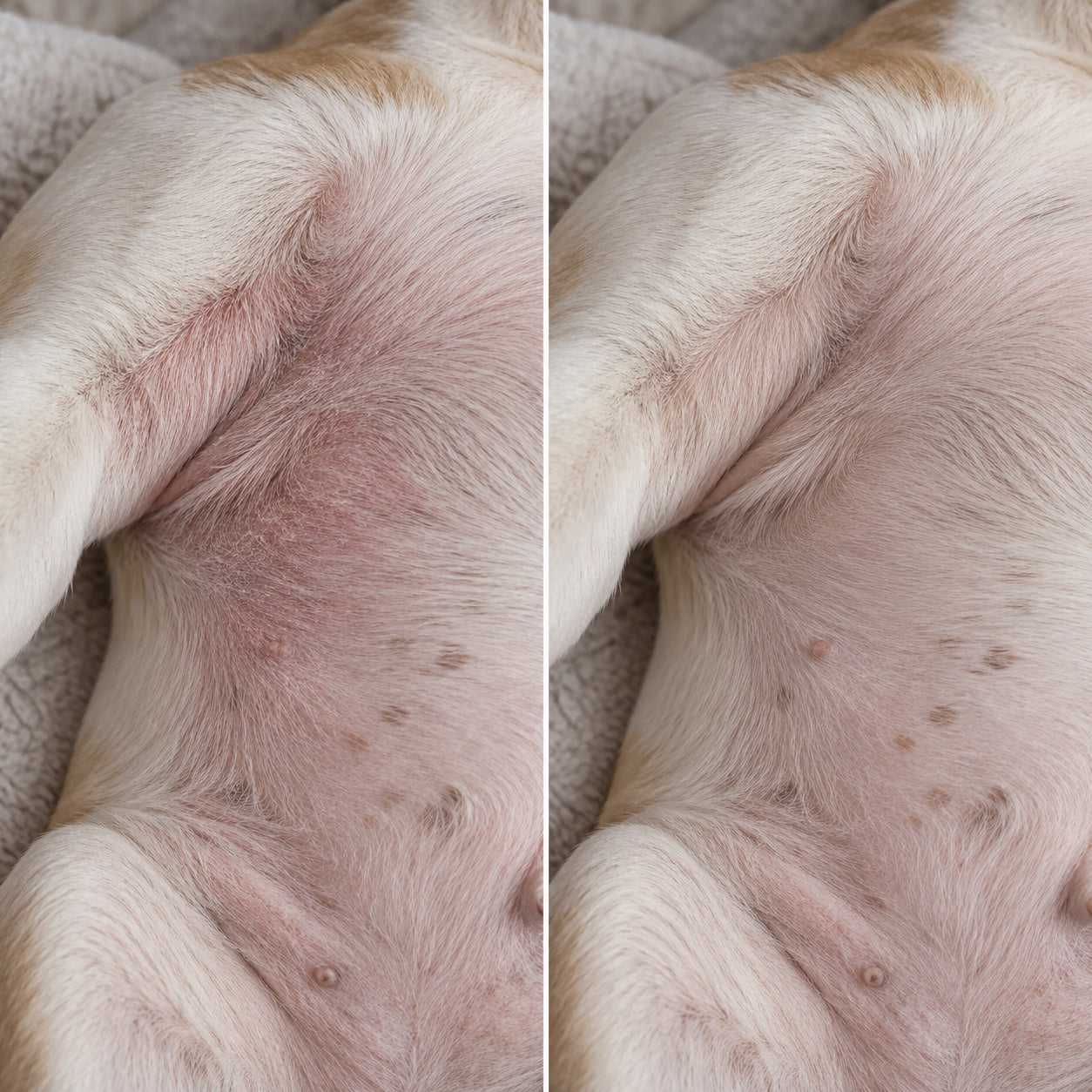 Red, Irritated-Looking Skin — before and after comparison